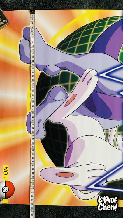 Grande affiche MEW x MEWTWO